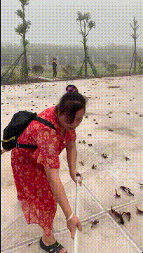 搞笑有趣的动图：现在当只猫都这么卷了吗？