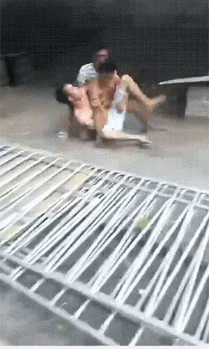 爆笑动图：狗狗跟人呆久了，不该学的都会了！