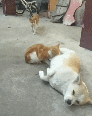 爆笑的GIF：好调皮的妈妈，吓死宝宝了