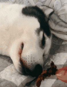 爆笑的GIF：好调皮的妈妈，吓死宝宝了