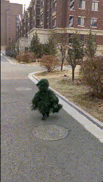 搞笑动图：高手啊，还有这招！