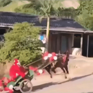 爆笑的GIF趣图：脑瓜子嗡嗡的！莫名的想笑！