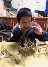 爆笑的GIF趣图：脑瓜子嗡嗡的！莫名的想笑！