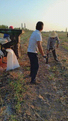 笑到肚子疼的GIF：姑娘这灯泡可不会骗人