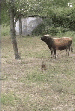 笑到肚子疼的GIF：姑娘这灯泡可不会骗人