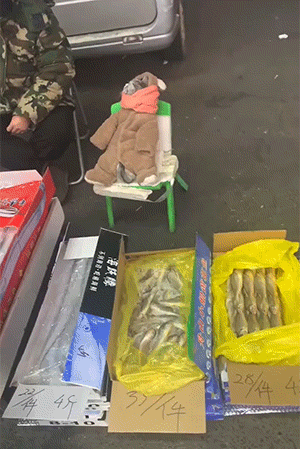 搞笑动态图：一星期没开荤了，随便凑合一下吧！