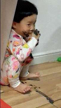搞笑动图GIF：这，我比当事人懵！