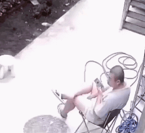 搞笑动图GIF：这，我比当事人懵！