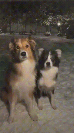 搞笑的动图GIF：这门亲事门不同意？哈哈哈！