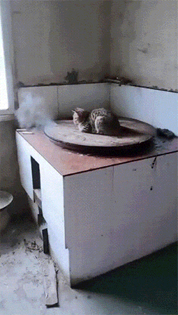 爆笑的动图GIF：虎口脱险，还好反应快