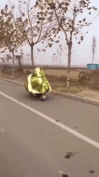 爆笑的动图GIF：虎口脱险，还好反应快