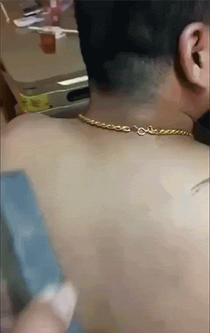 有趣的GIF动图：世间百态，各有活法