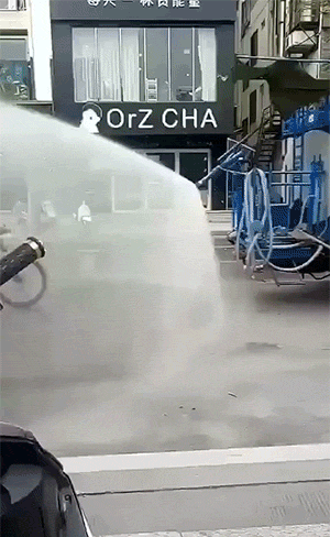 有趣的GIF动图：世间百态，各有活法
