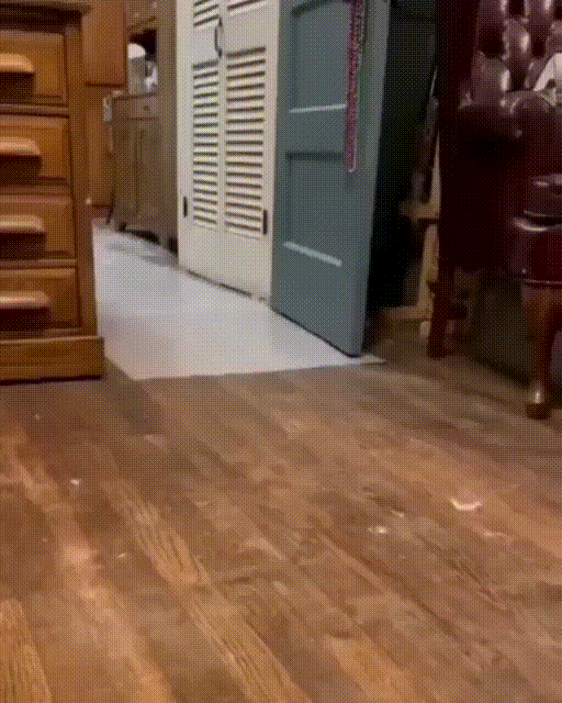 经典搞笑动图：姑娘脚下留情！
