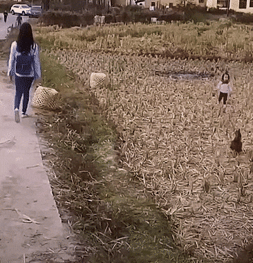 值得看看笑笑的GIF，有趣！