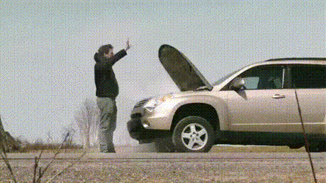 值得看看笑笑的GIF，有趣！
