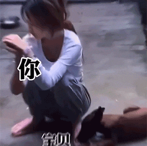 搞笑动图GIF：是你！飞猫警长！