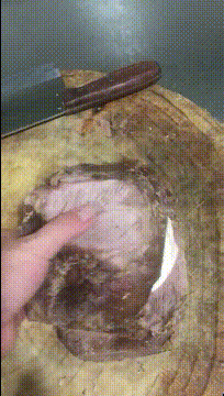 搞笑动图GIF：是你！飞猫警长！