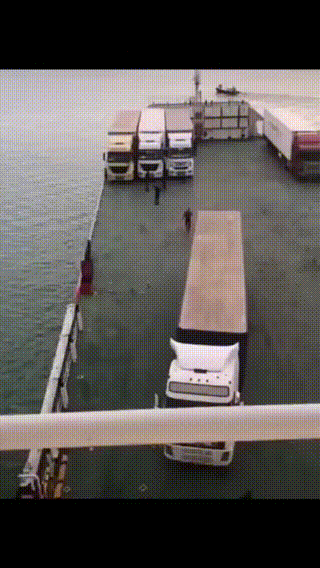 搞笑动图GIF：是你！飞猫警长！