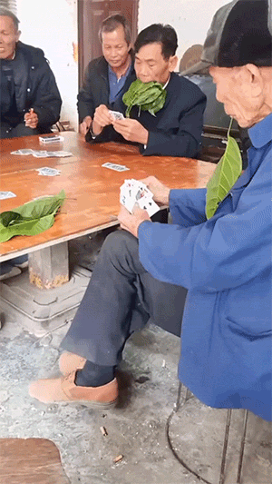 搞笑动图GIF：是你！飞猫警长！
