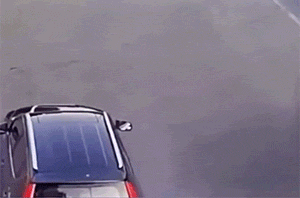 搞笑动图GIF：是你！飞猫警长！