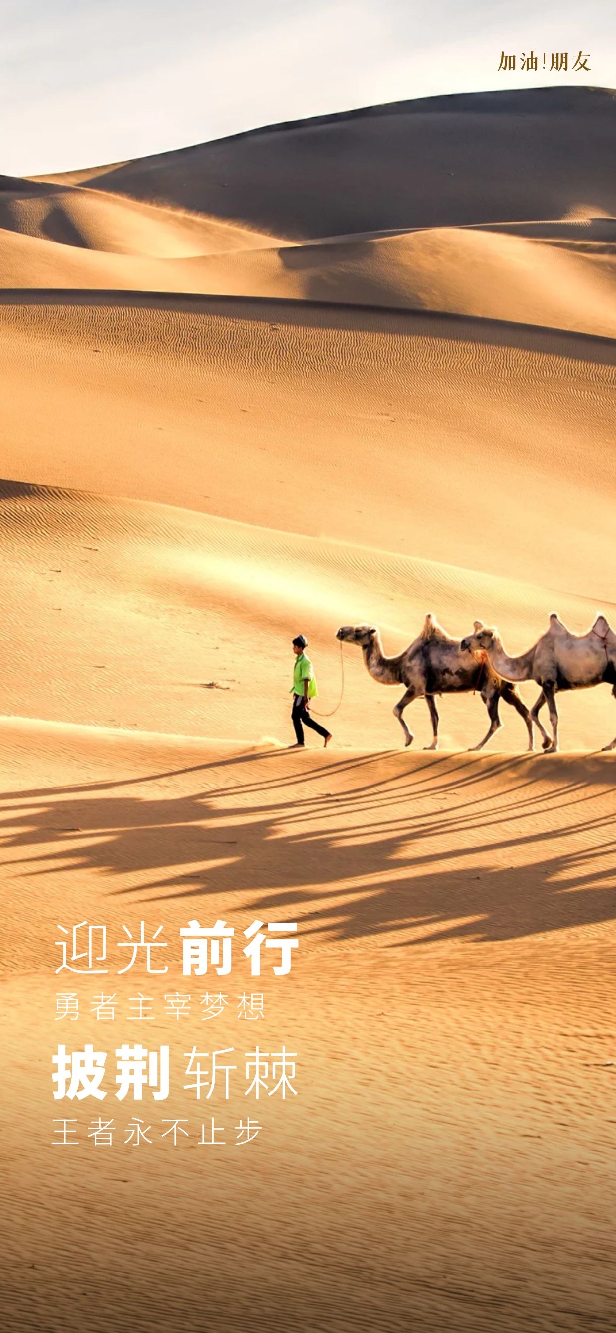 早上好正能量励志图片带文字，满怀热忱与希望，期盼温暖和阳光