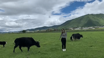 爆笑的GIF动图：你别过来，我妈不让我跟傻子玩