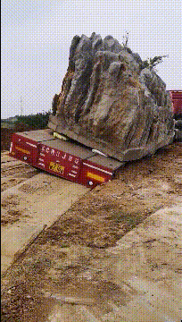 好笑的动态图片:你得到我的人,但是你永远得不到我的心