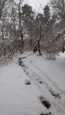 有趣GIF动图：值得看几遍的19张GIF！