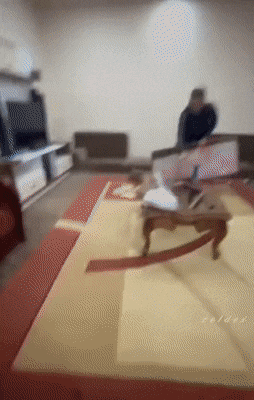 有趣GIF动图：值得看几遍的19张GIF！