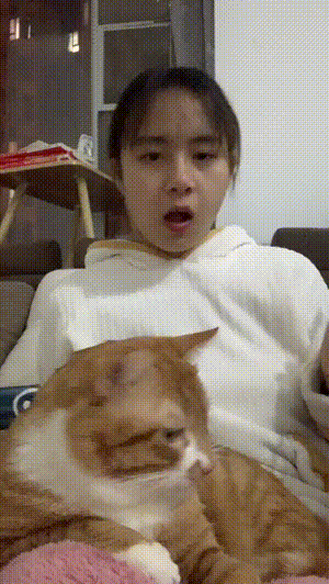 笑晕过去的GIF：男子摸女同事私处，称“闹着玩”！