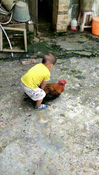 很好笑的GIF：想刀一个人的眼神是藏不住的！