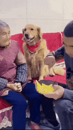 30张有趣的GIF，看看图个开心！