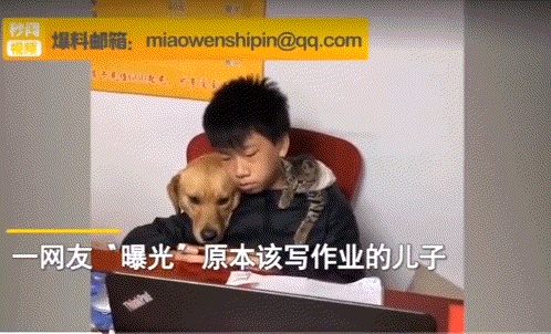 爆笑的GIF动态图：哪位大神的佳作，我还以为是真的