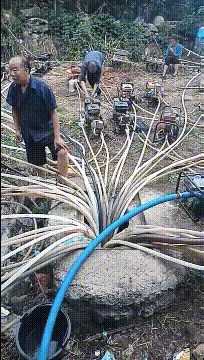 爆笑的GIF动态图：哪位大神的佳作，我还以为是真的