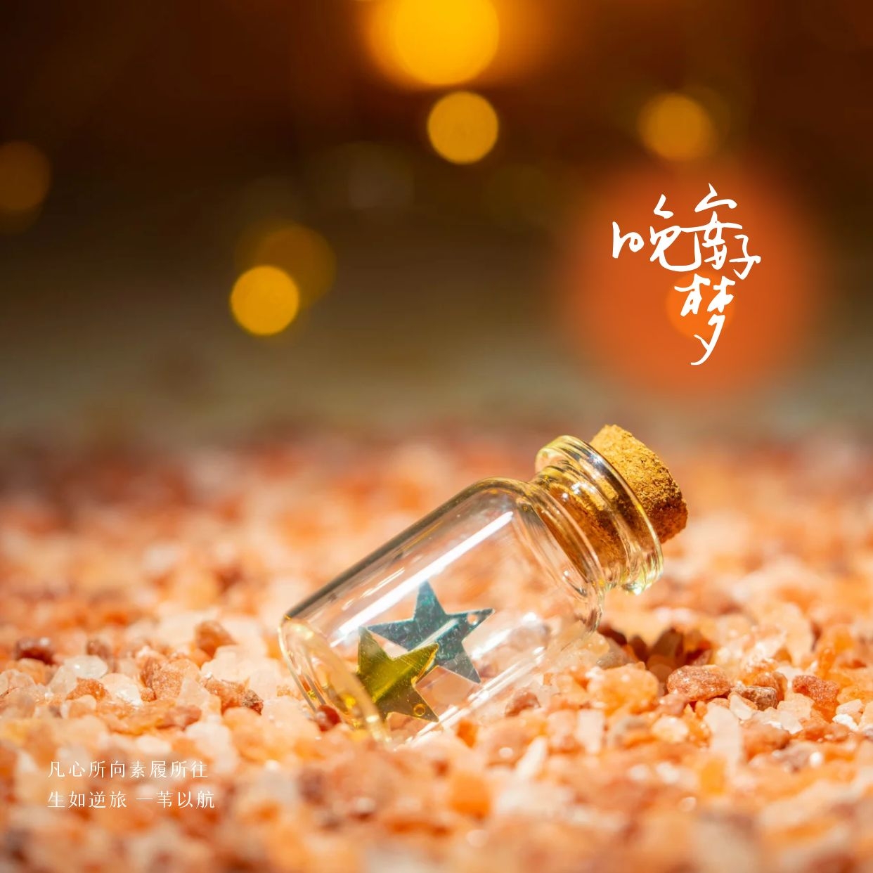 2022睡前朋友圈文案心情，但愿初相见，不负有心人