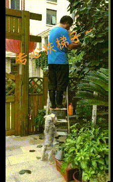 搞笑的GIF：爱情来得太突然