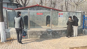 搞笑的GIF：爱情来得太突然