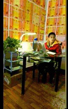 搞笑的GIF：爱情来得太突然