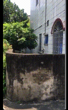 搞笑的GIF：爱情来得太突然