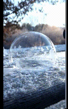 爆笑的GIF：冬季的泡沫，真的是一个美丽的世界