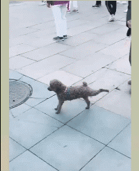 搞笑动态图图片：街舞速成
