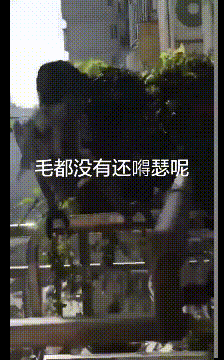 搞笑动态图图片：街舞速成