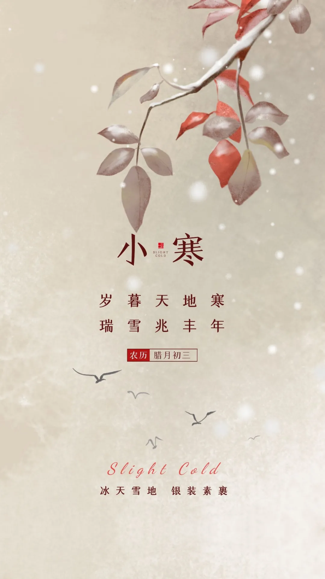 小寒图片配图大全，适合小寒节气发朋友圈抖音的文案说说句子
