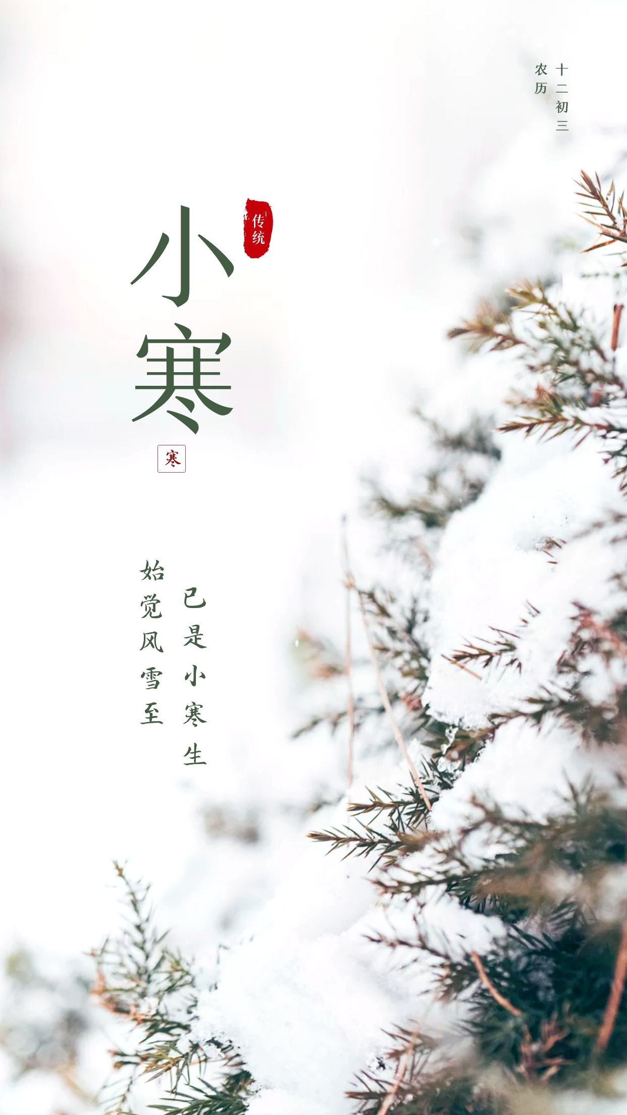小寒图片配图大全，适合小寒节气发朋友圈抖音的文案说说句子