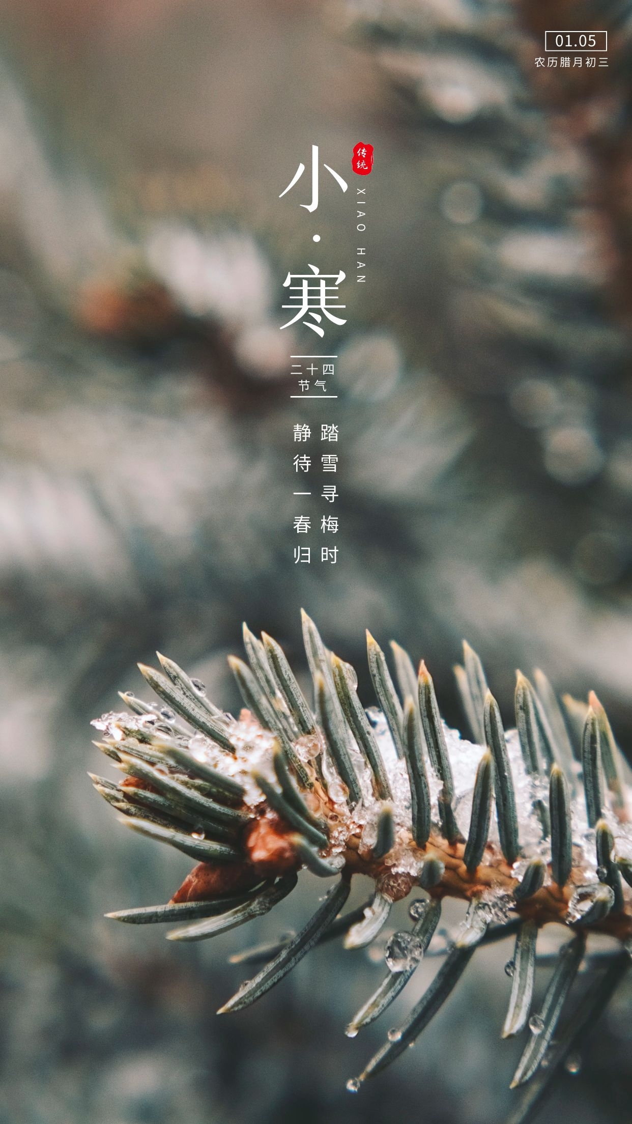 小寒图片配图大全，适合小寒节气发朋友圈抖音的文案说说句子
