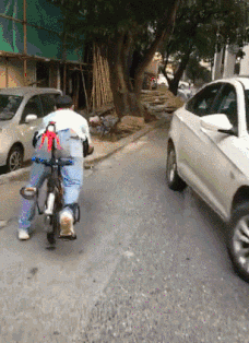 搞笑动图GIF：这猫猫也是醉了，真无辜！