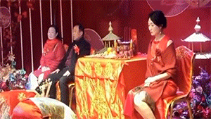 搞笑动图GIF：这猫猫也是醉了，真无辜！