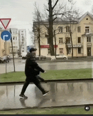 搞笑动图GIF：这猫猫也是醉了，真无辜！