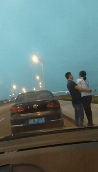 搞笑动图GIF：这猫猫也是醉了，真无辜！
